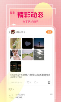 七葉