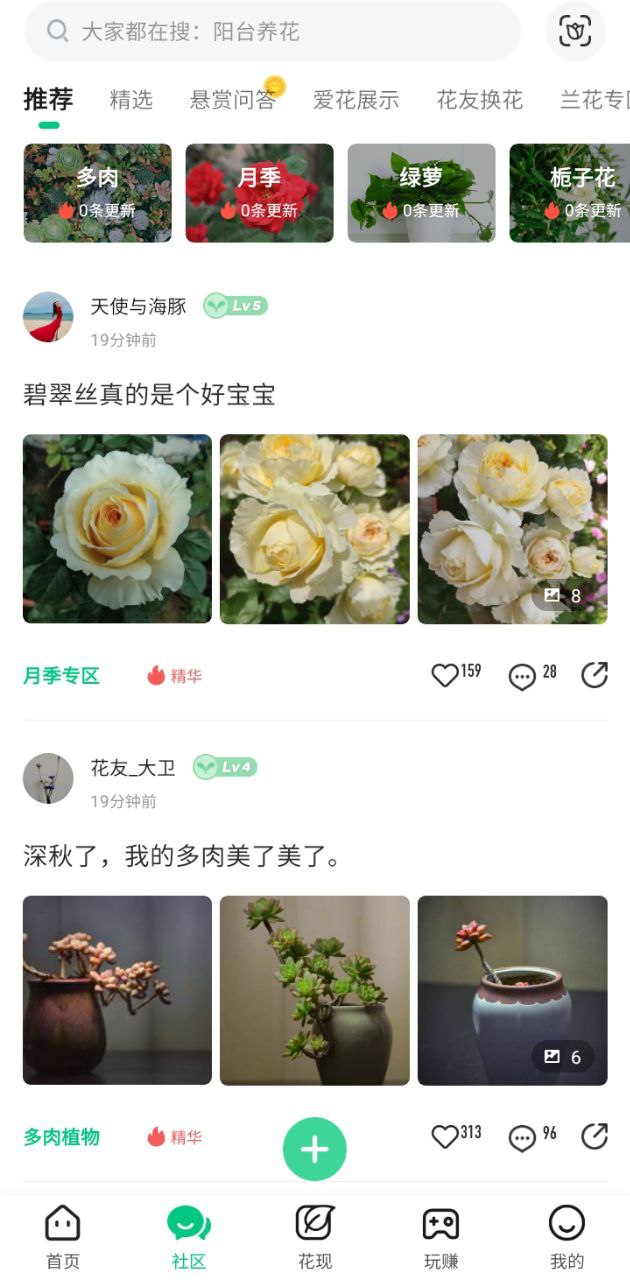養(yǎng)花大全