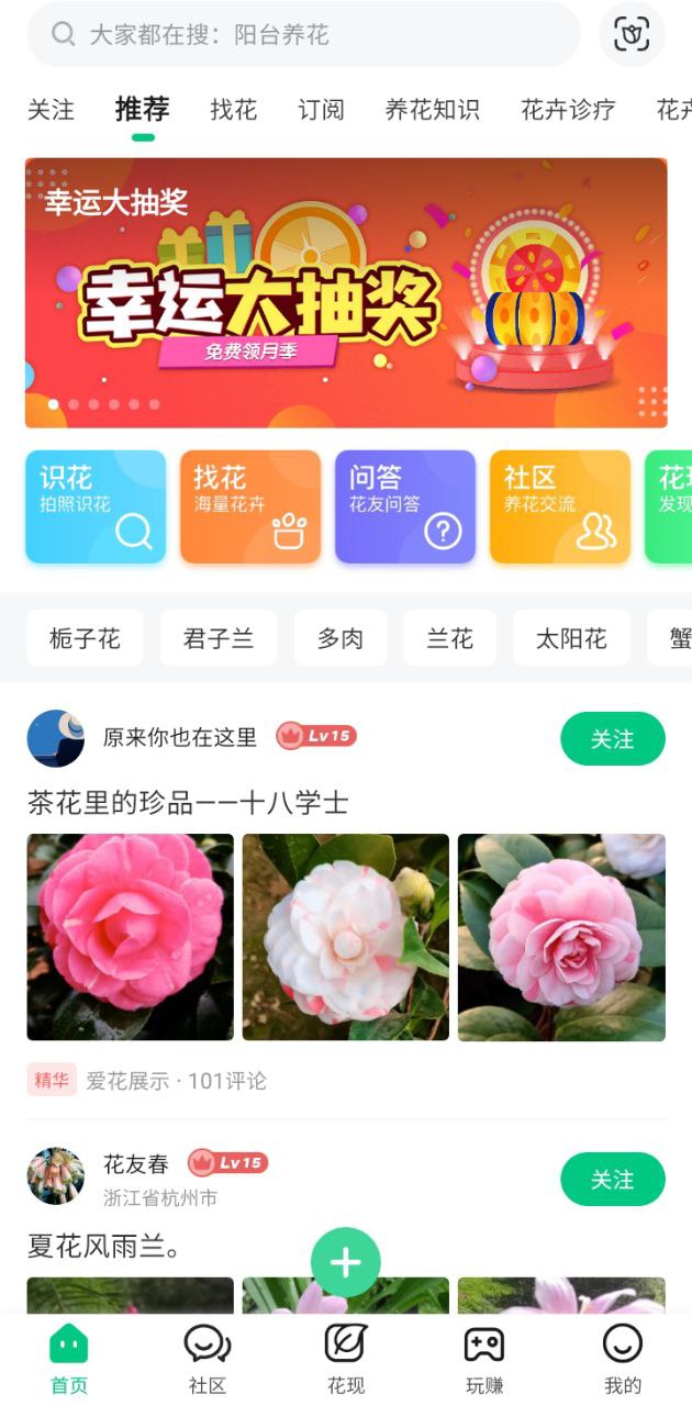 養(yǎng)花大全