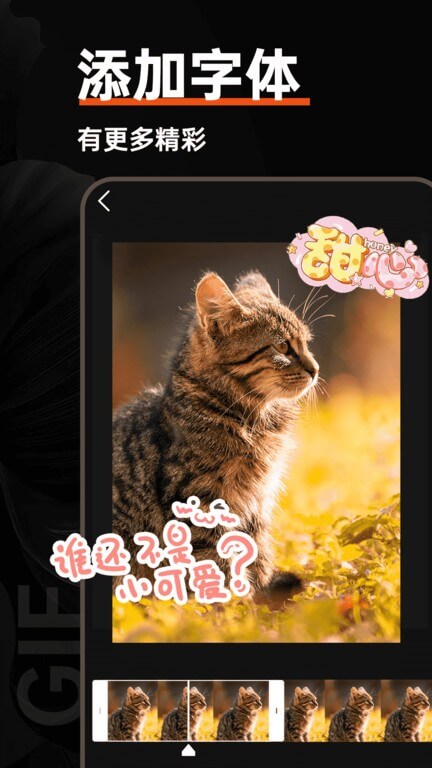 gif動(dòng)圖制作器安卓
