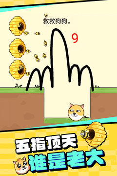 我的狗狗app